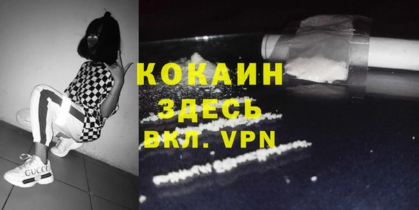 PSILOCYBIN Аркадак