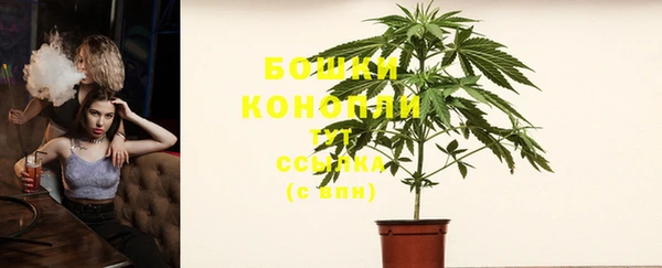 сатива Балахна