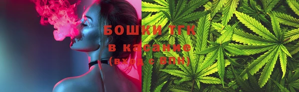 сатива Балахна
