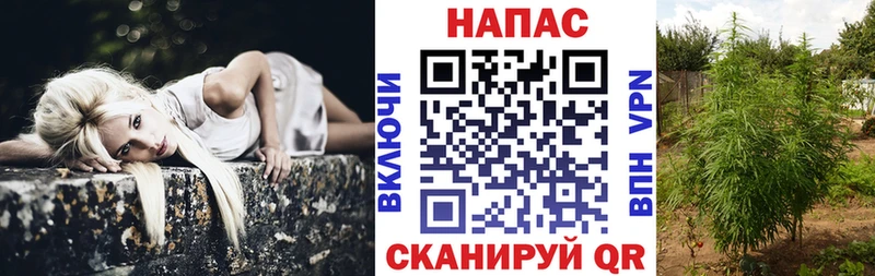 купить наркоту Буйнакск МАРИХУАНА THC 21%